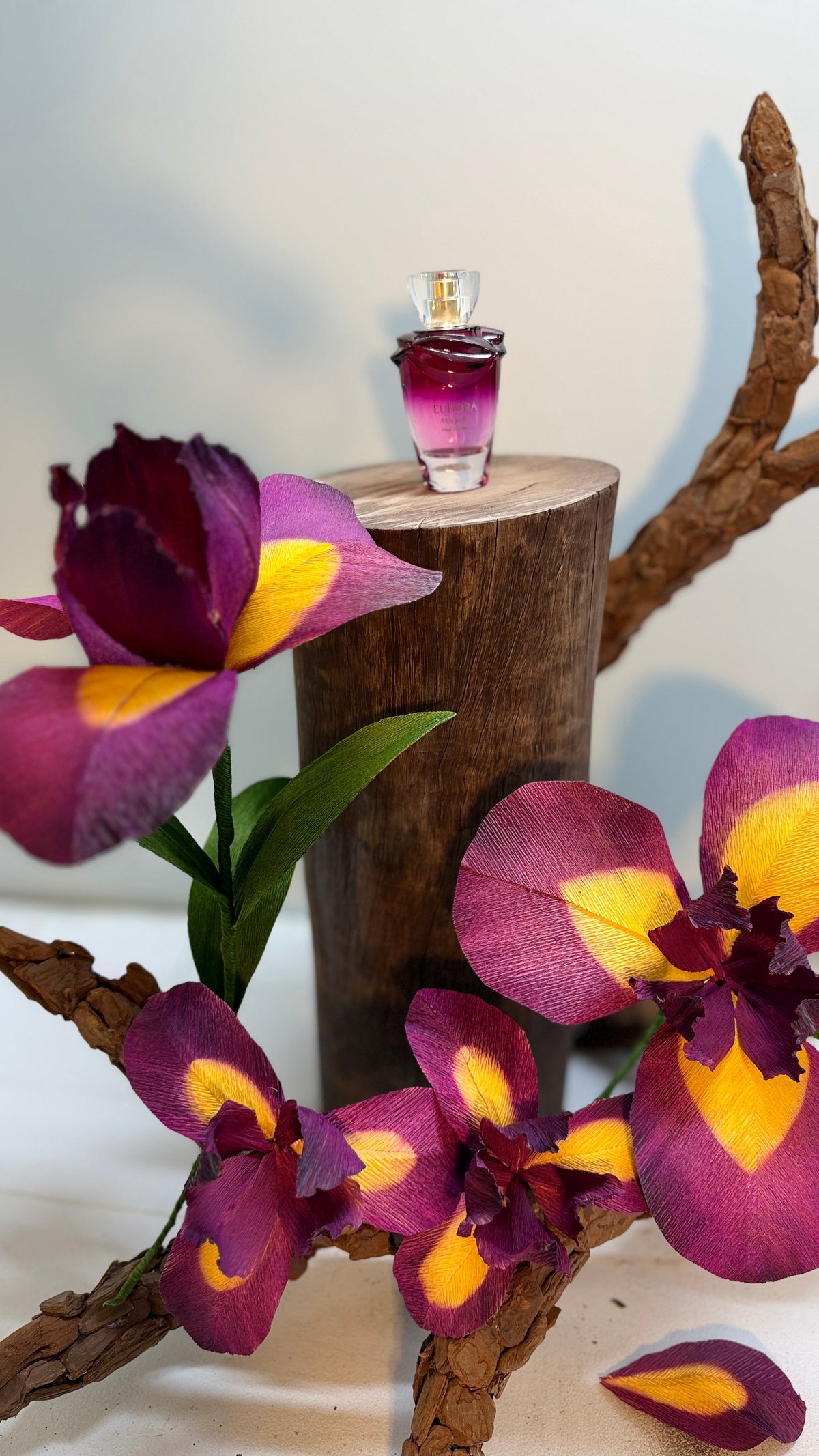 Iris géants en papier crépon italien avec le parfum Liz d'O Boticário