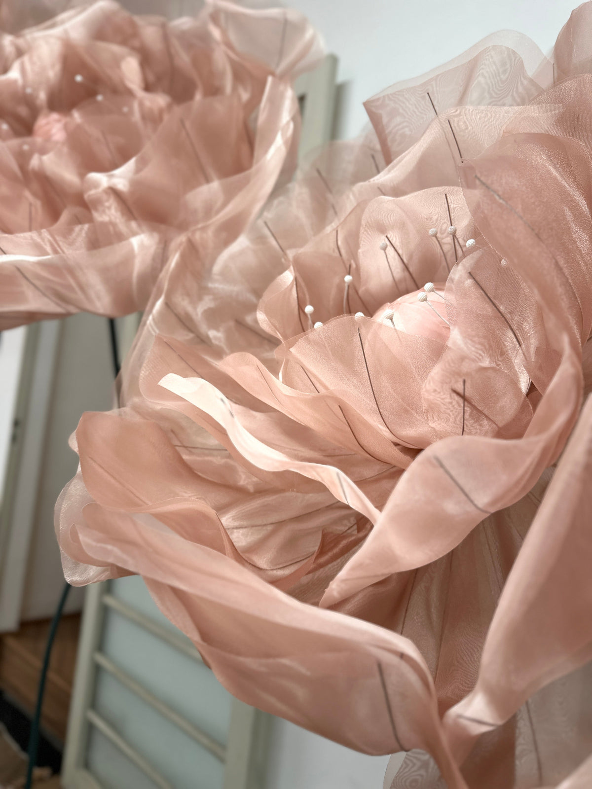 Organza