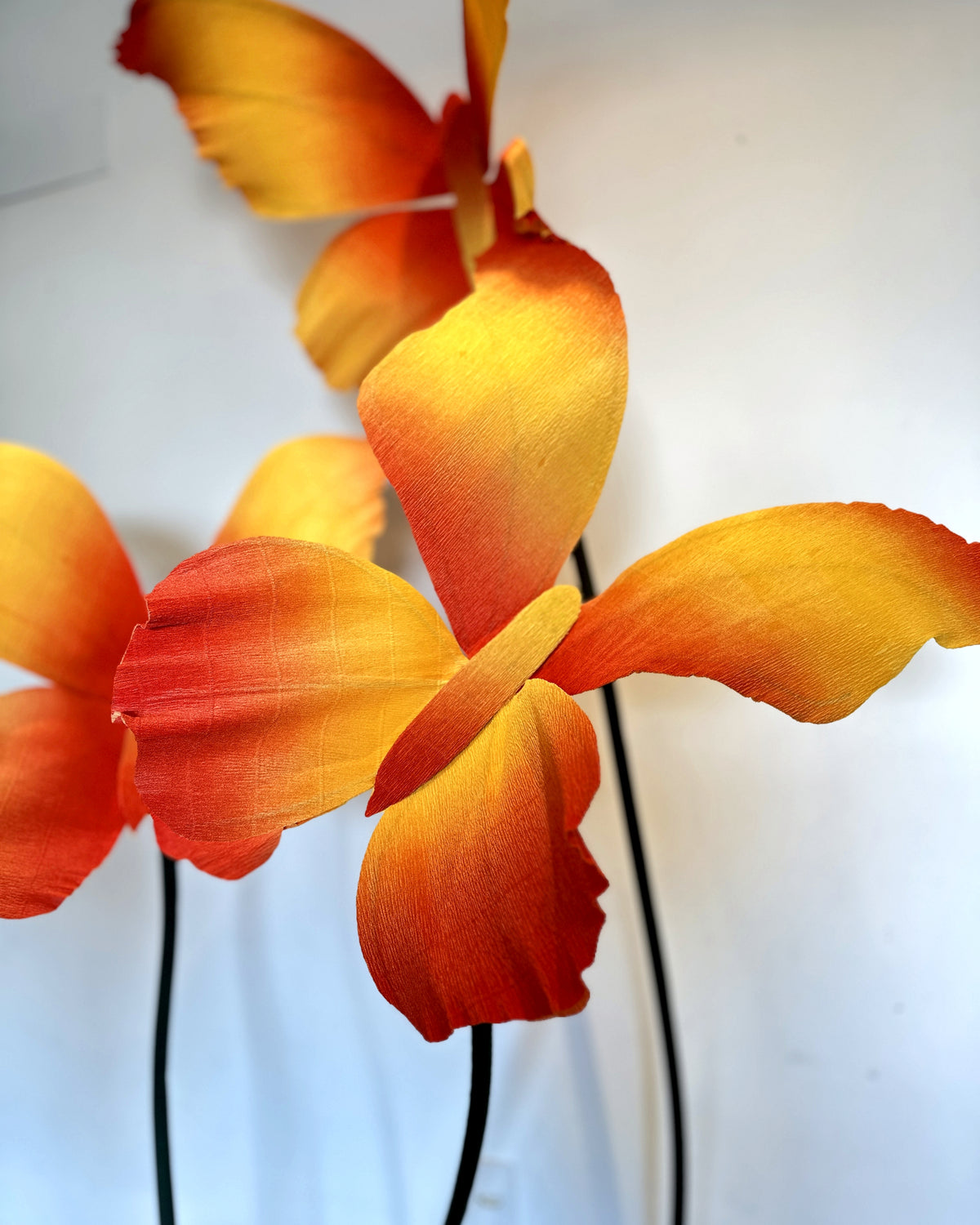 Giant Italian crepe paper butterflies, detail