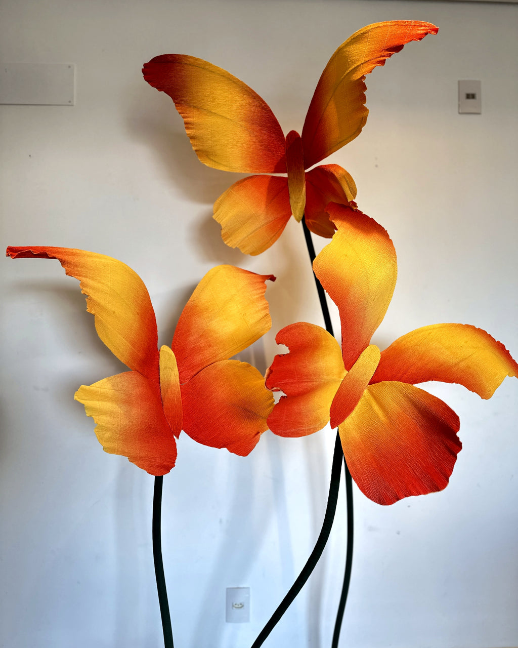 Borboletas gigantes de papel crepom italiano