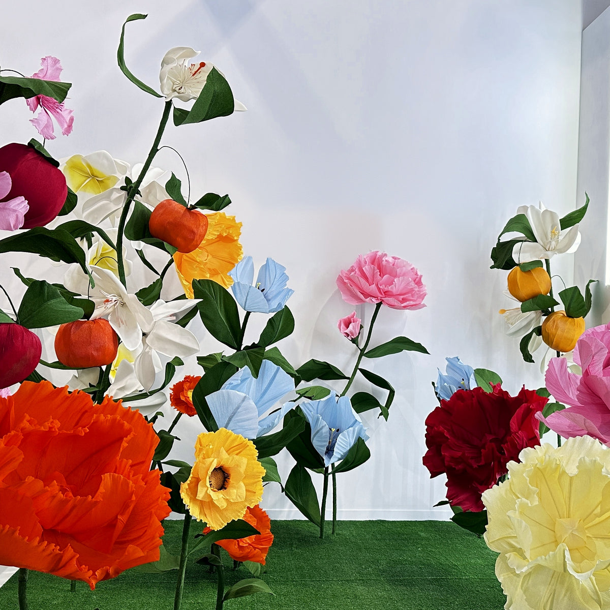 Cenário de flores gigantes de papel crepom italiano, vista de frente