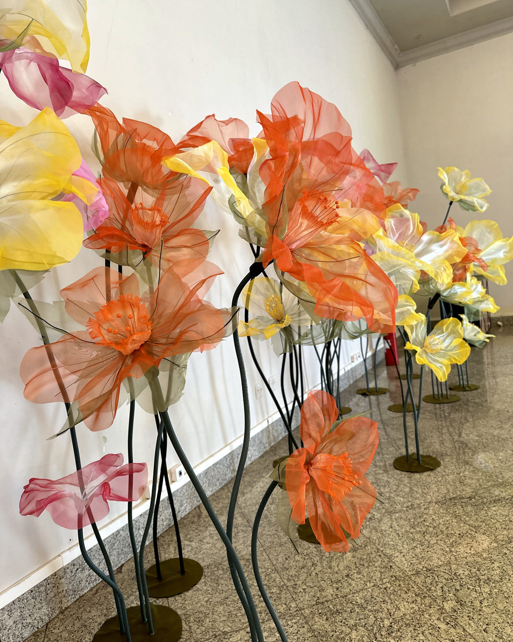 Jardim de narcisos gigantes de organza, vista de lado