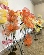 Jardim de narcisos gigantes de organza, vista de lado