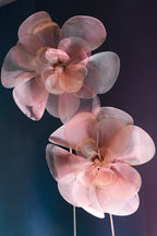 The Dance of the Organza Flowers