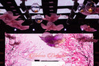 The Dance of the Organza Flowers