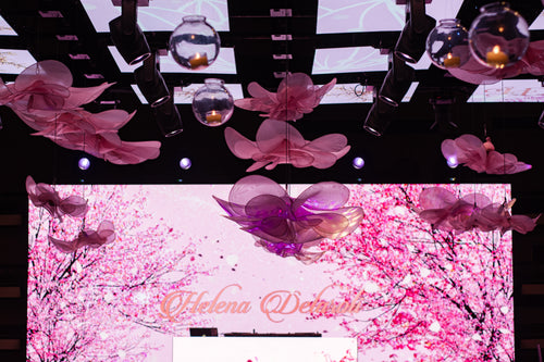 The Dance of the Organza Flowers