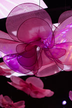 The Dance of the Organza Flowers
