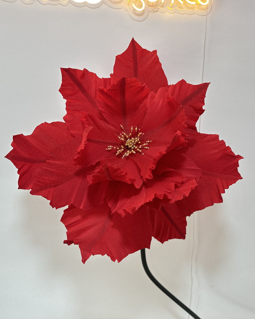 Stella di Natale gigante di carta crespa italiana, dettaglio del fiore