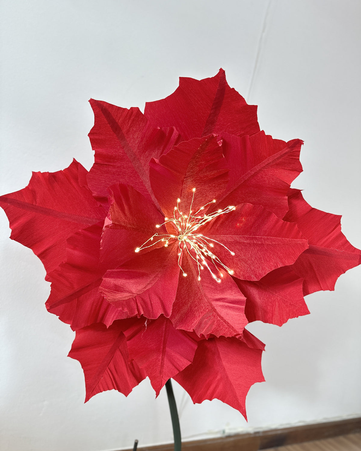 Stella di Natale gigante di carta crespa italiana, con centro illuminato