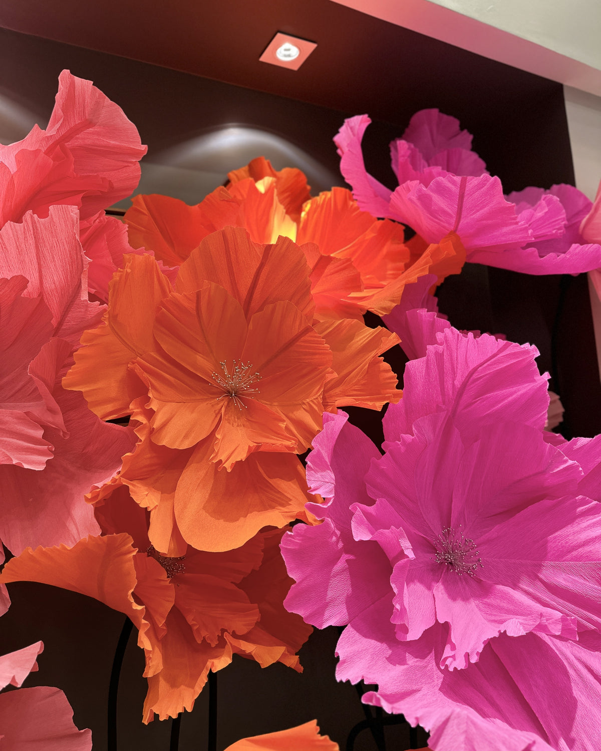 Flores gigantes de crepom italiano clássicas em várias cores