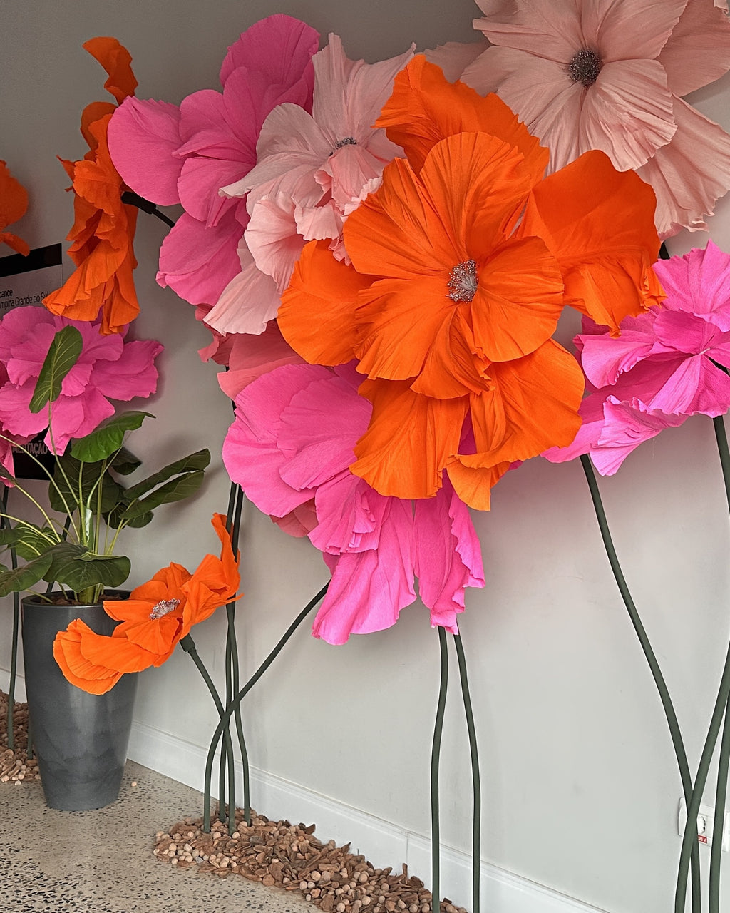 Flores gigantes de crepom italiano na decoração de loja
