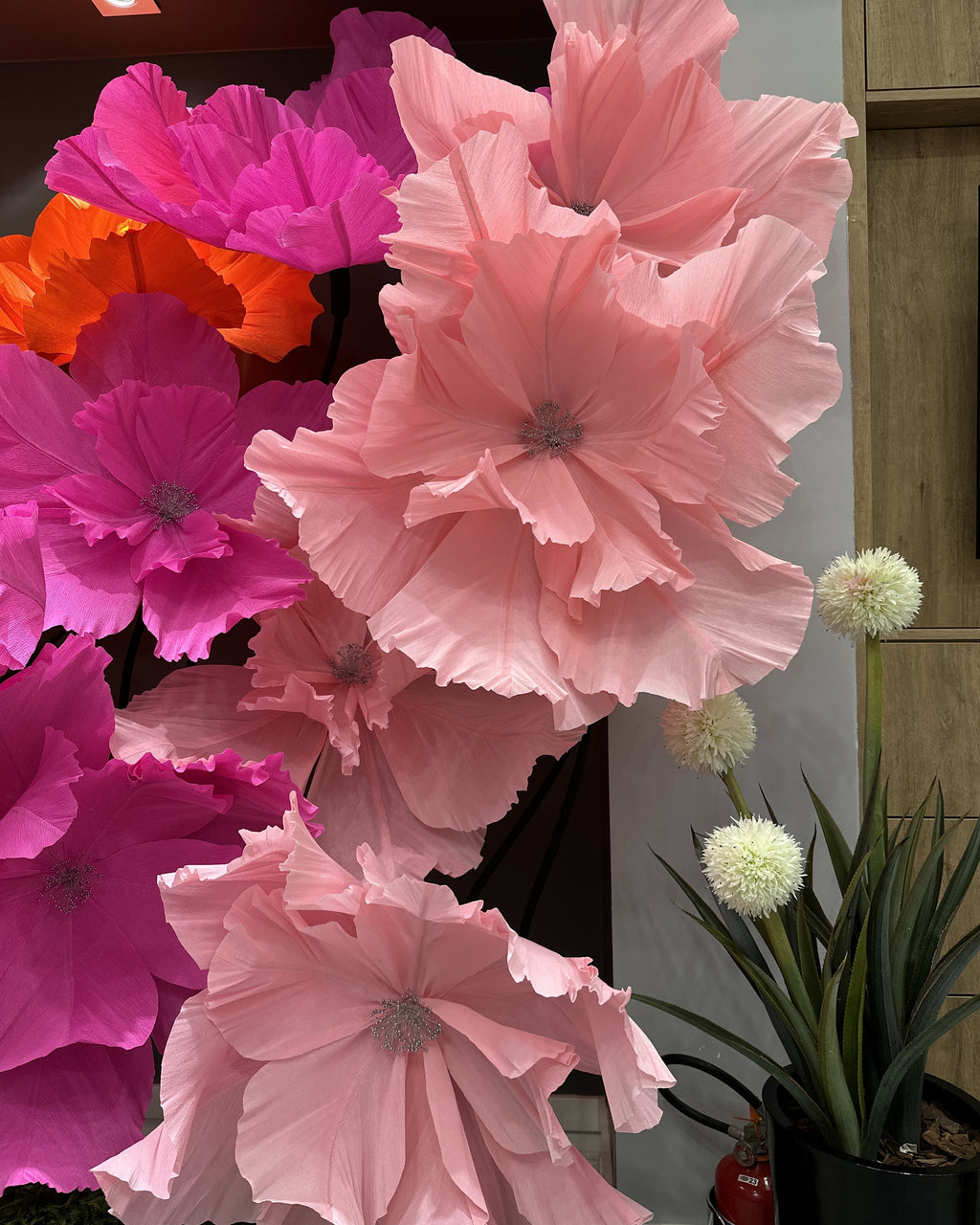 Flores gigantes de crepom italiano clássicas em tons de rosa