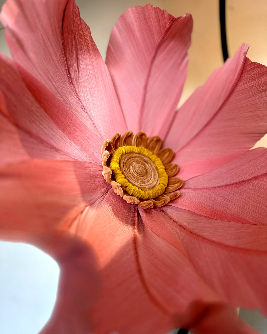 Camomila gigante de papel crepom rosa, vista de frente