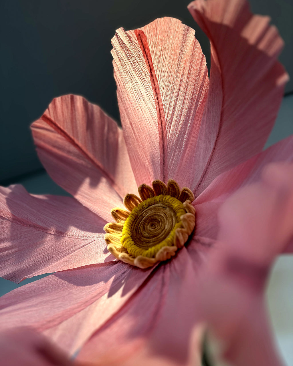 Camomila gigante de papel crepom rosa, detalhe da flor