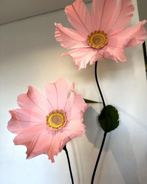 Manzanilla gigante de papel crepé rosa, detalle de las flores