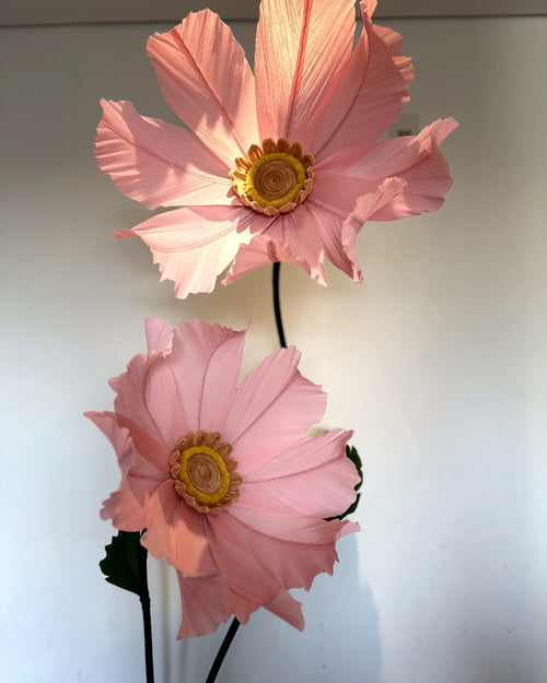 Manzanilla gigante de papel crepé rosa