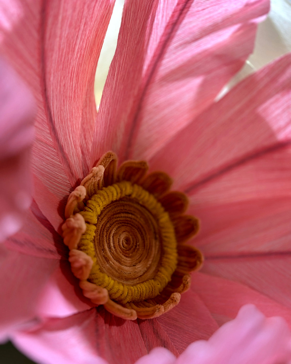Giant pink crepe paper chamomile, center detail