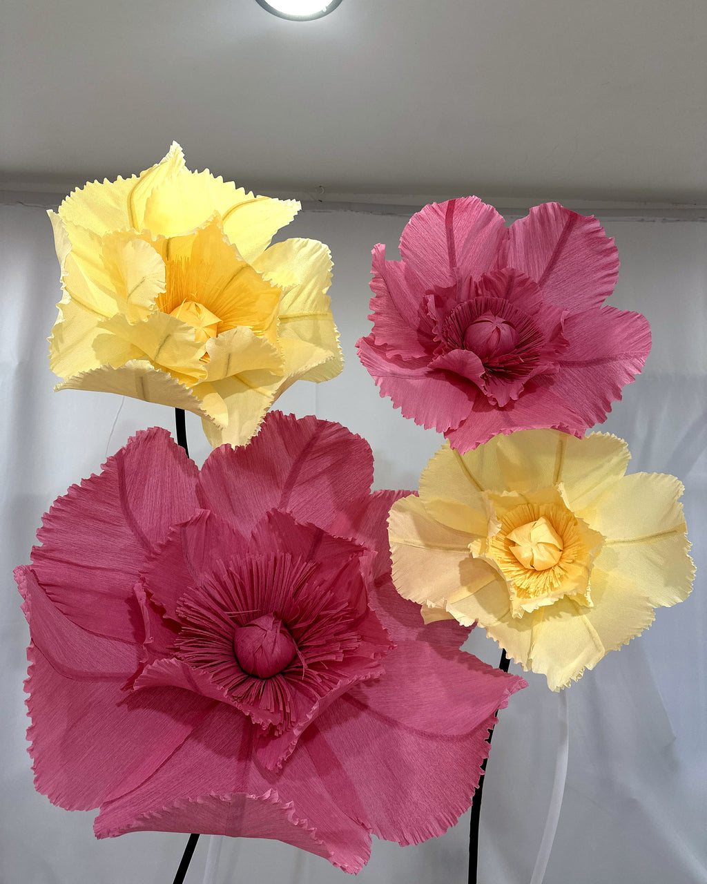 Papoulas gigantes de papel crepom rosa e amarelo, detalhe das flores