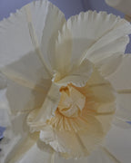 Papoulas gigantes de papel crepom rosa e amarelo, detalhe do miolo