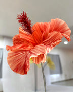 Giant red paper hibiscus, front view