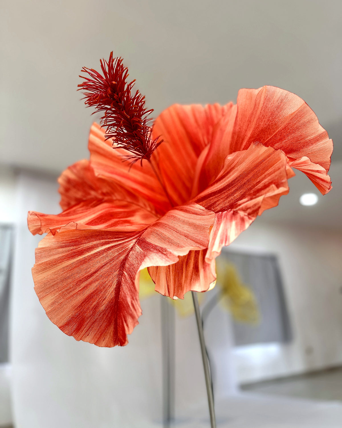 Hibisco gigante de papel vermelho, vista de frente