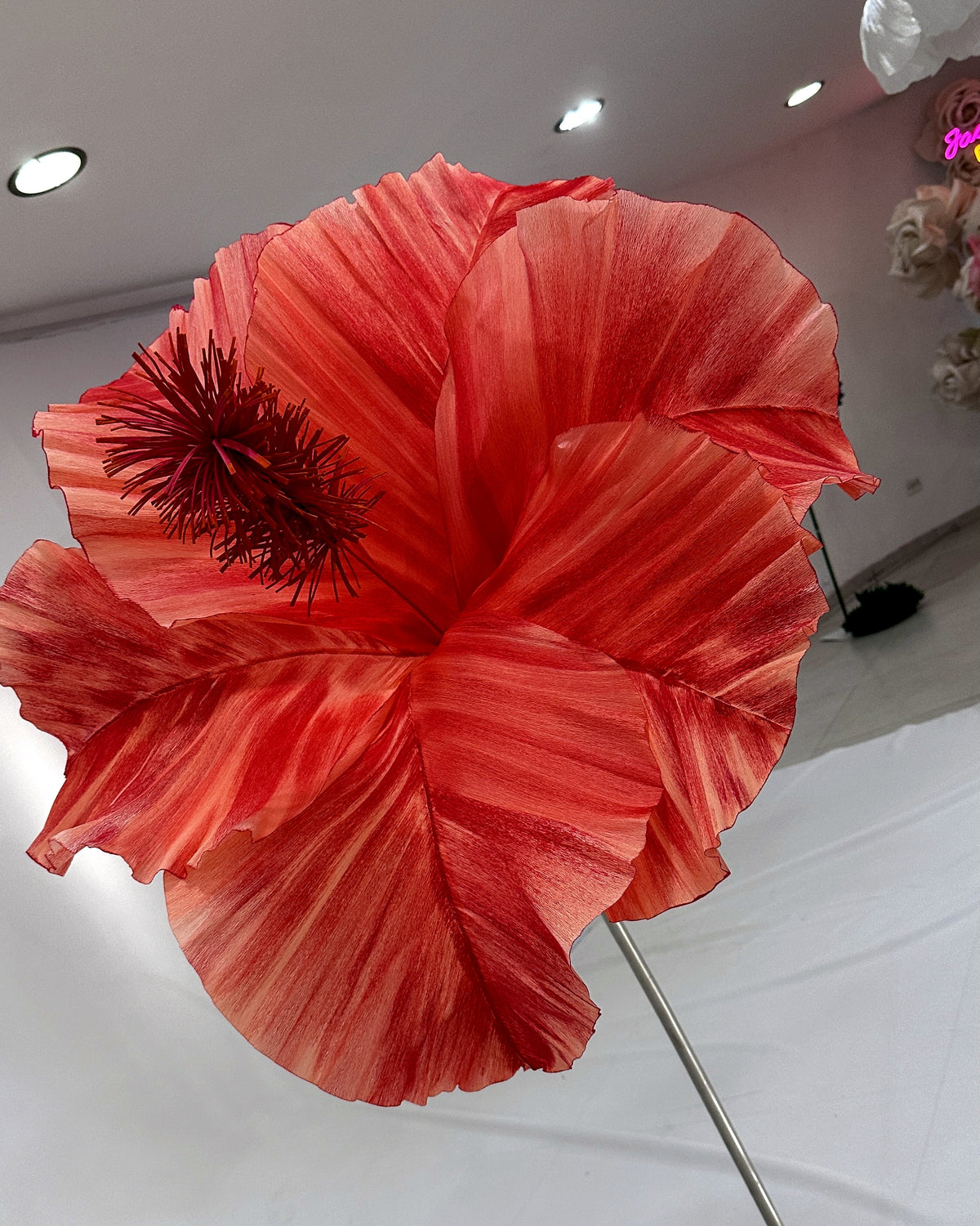 Hibisco gigante de papel vermelho, detalhe da flor