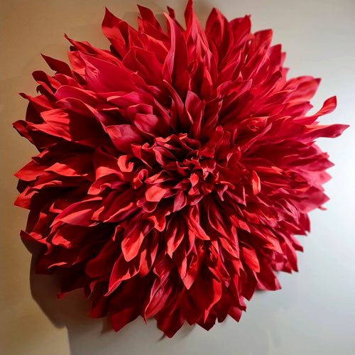 Dalia gigante roja de pared, vista frontal