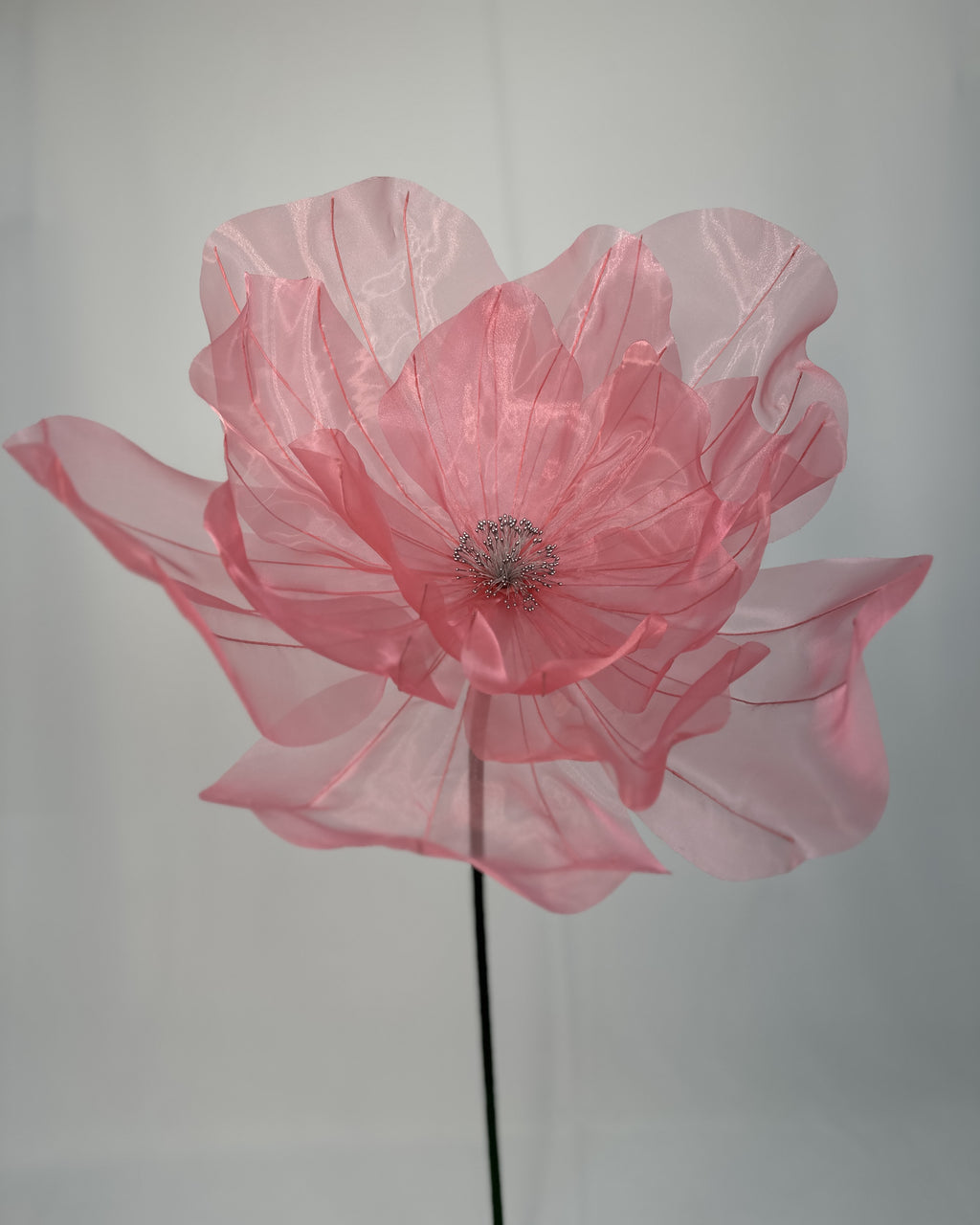 Flor de organza gigante clássica rosa, vista de frente