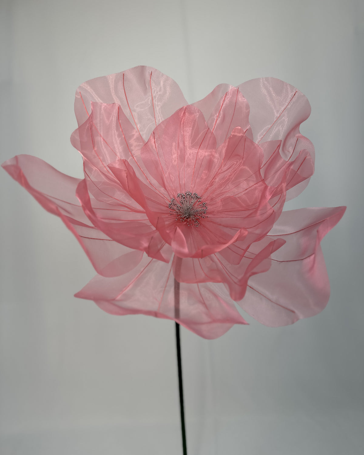 Flor de organza gigante clássica rosa, vista de frente