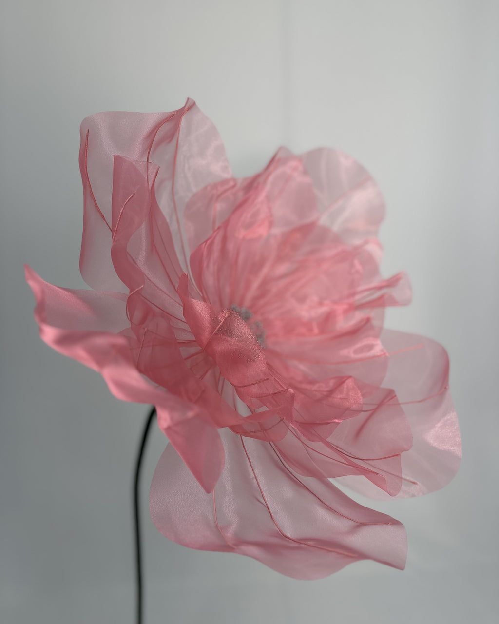 Flor de organza gigante clássica rosa, vista de lado