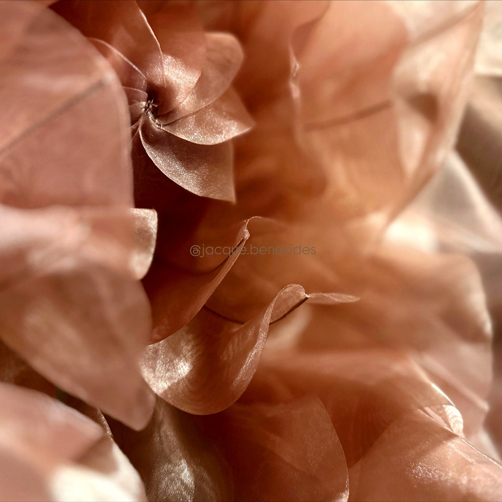 Wavy petals of the large organza flower