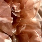 Wavy petals of the large organza flower