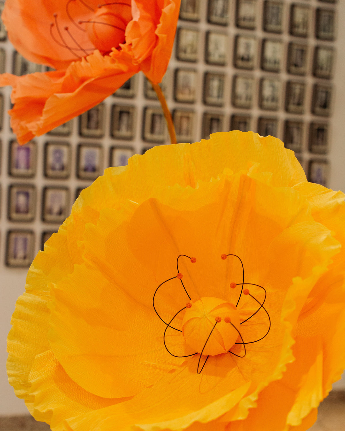 Papoulas gigantes de crepom italiano laranja, detalhe da flor