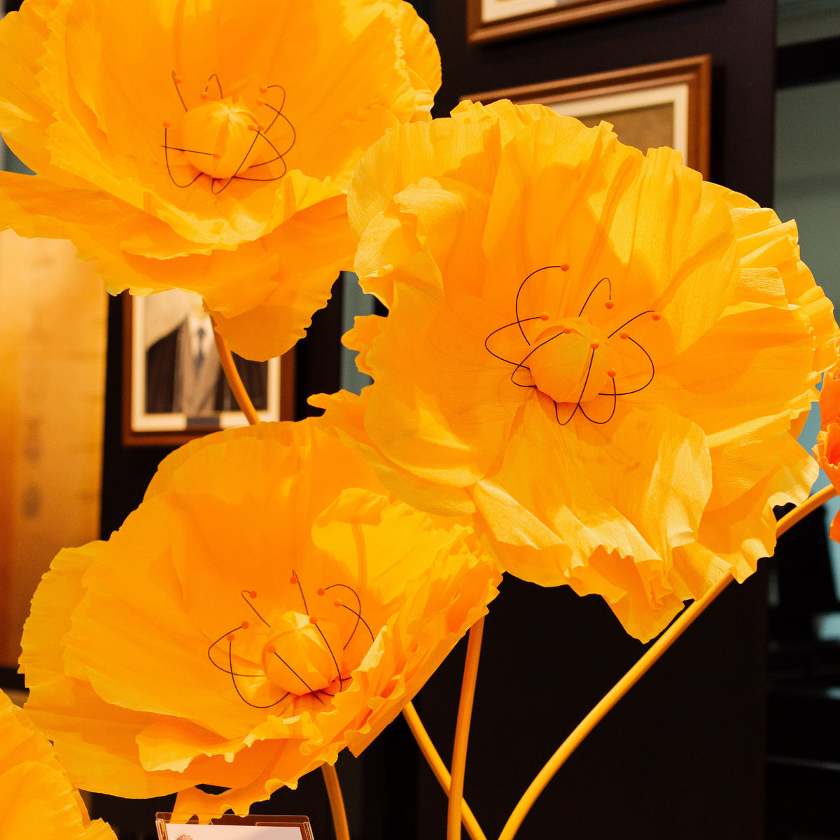 Coquelicots géants en papier crépon italien orange, lors d'un événement