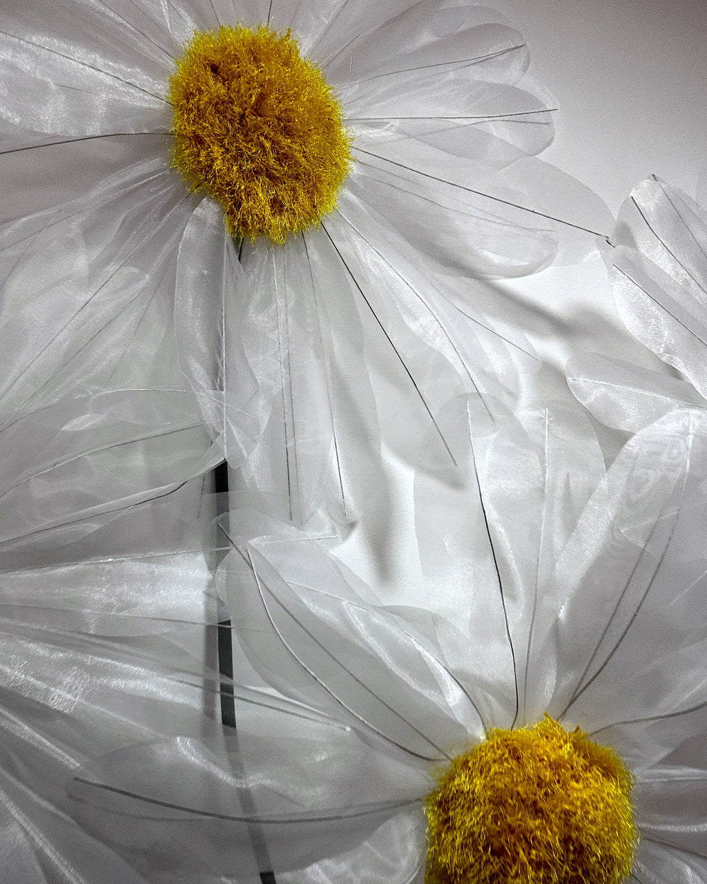 Giant white organza daisies, two flowers
