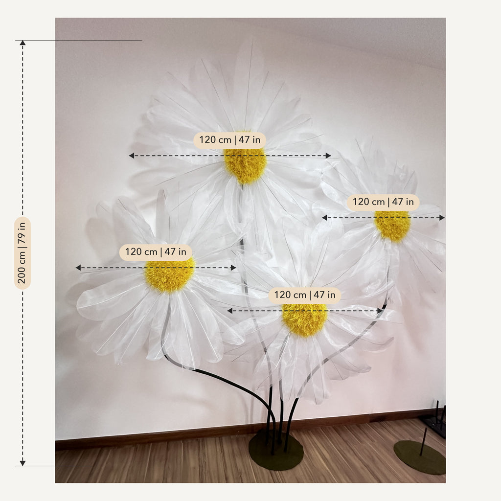 Measurements: Giant white organza daisies