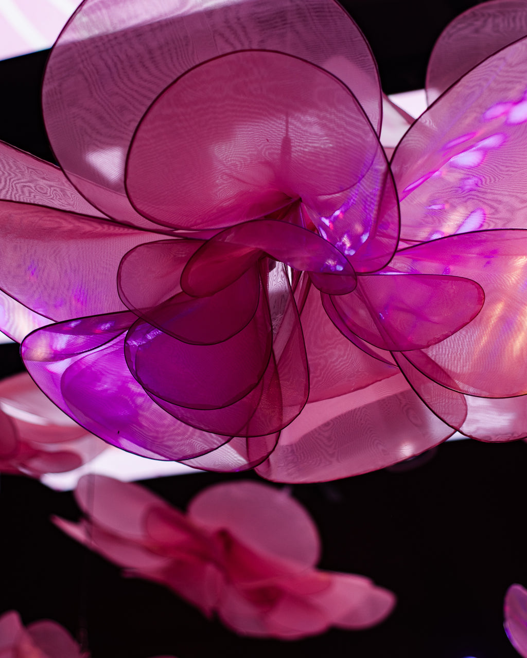Flores gigantes de organza suspensas, detalhe
