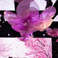 Flores gigantes de organza suspensas, no palco