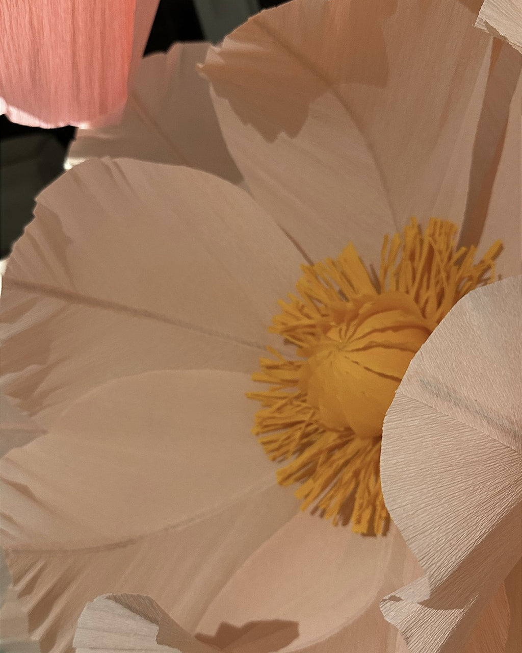 Fleurs géantes en papier crépon rosé à étamines, détail de la fleur claire