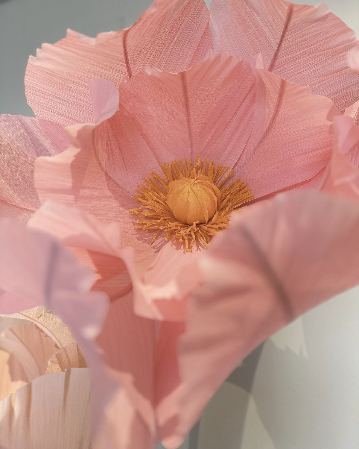 Flores gigantes de papel crepom rosê com estames, detalhe do miolo