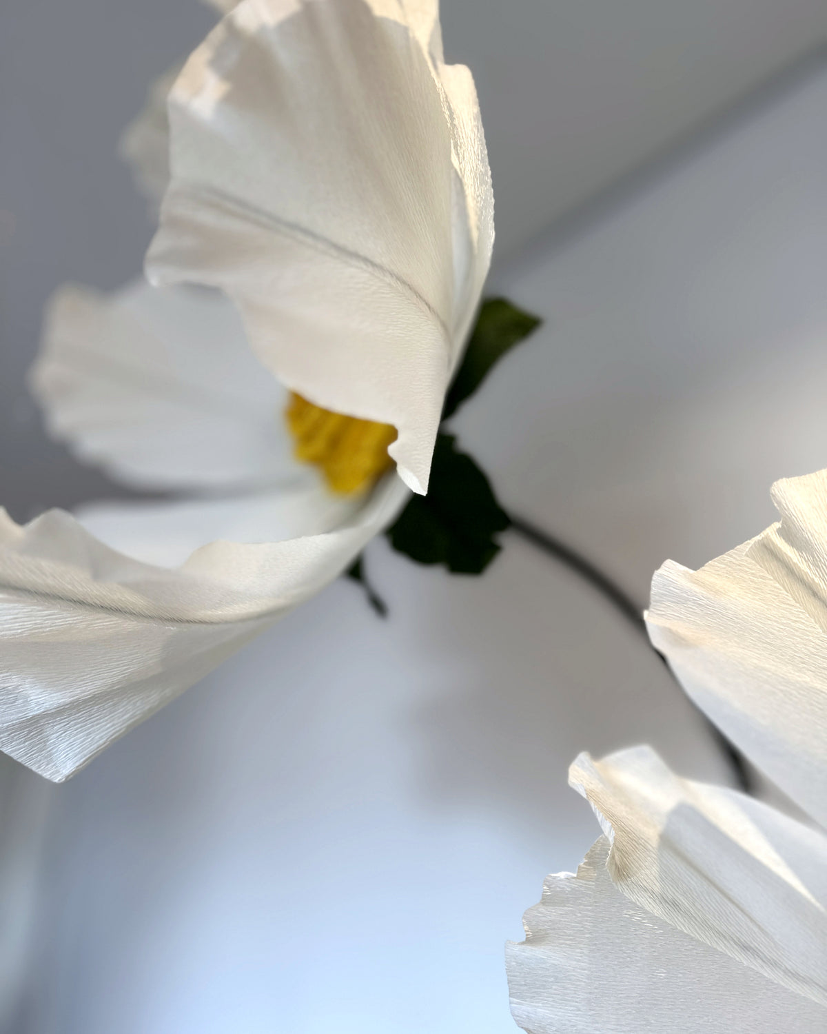 Giant white crepe paper chamomiles, detail