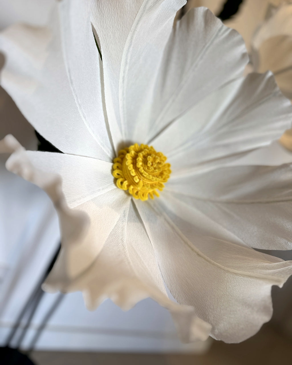 Giant white crepe paper chamomiles, side view