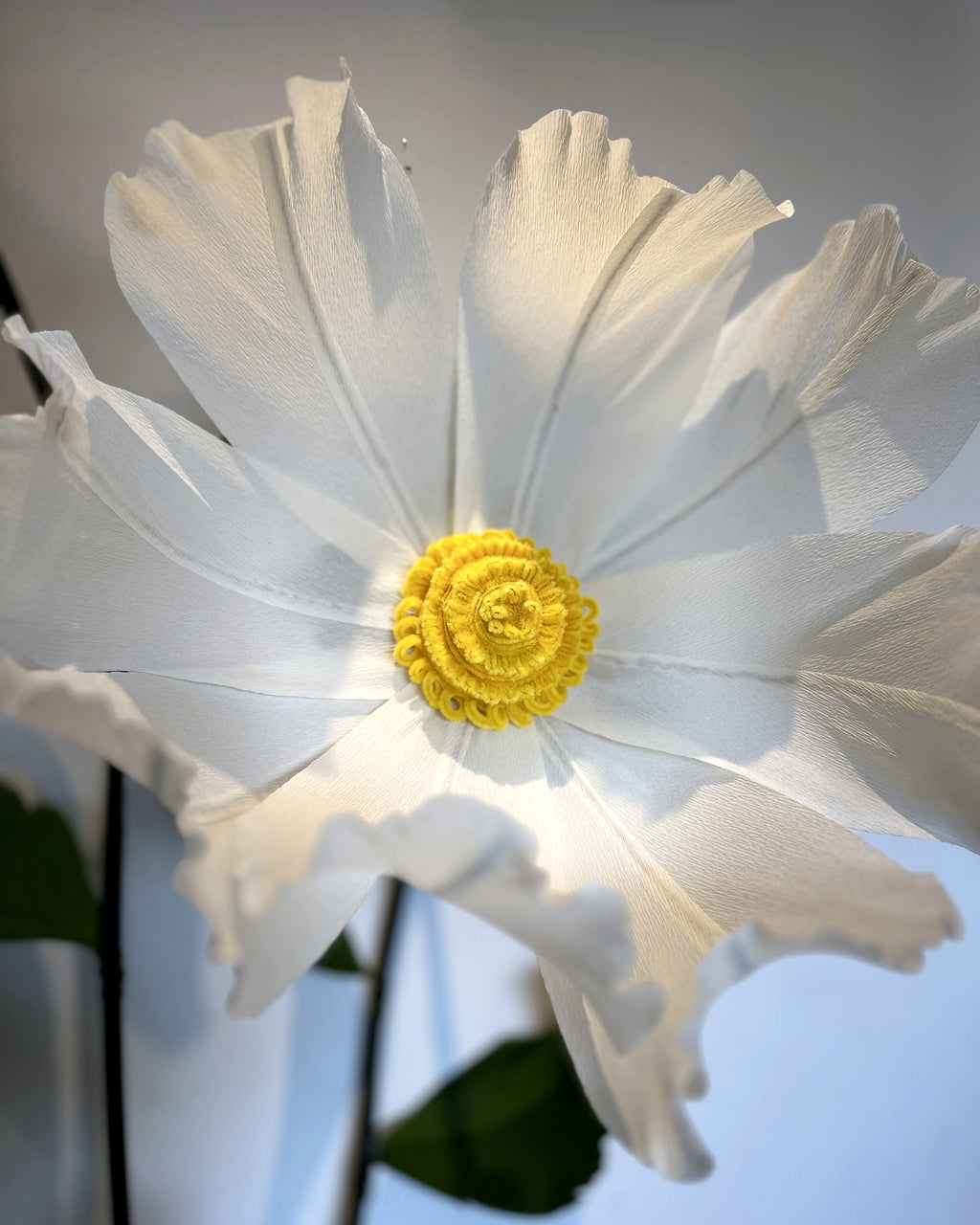 Giant white crepe paper chamomiles, flower detail