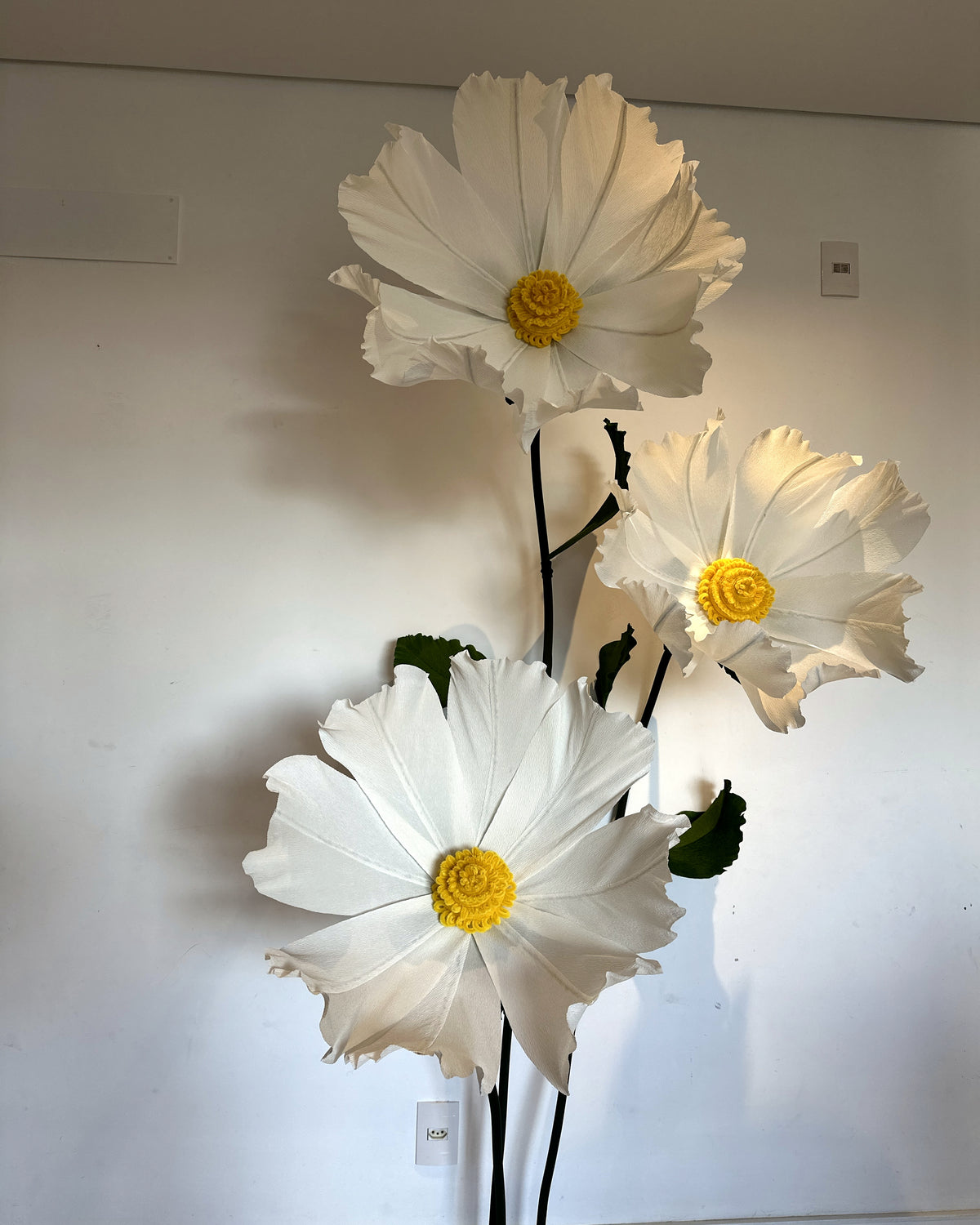 Giant white crepe paper chamomiles