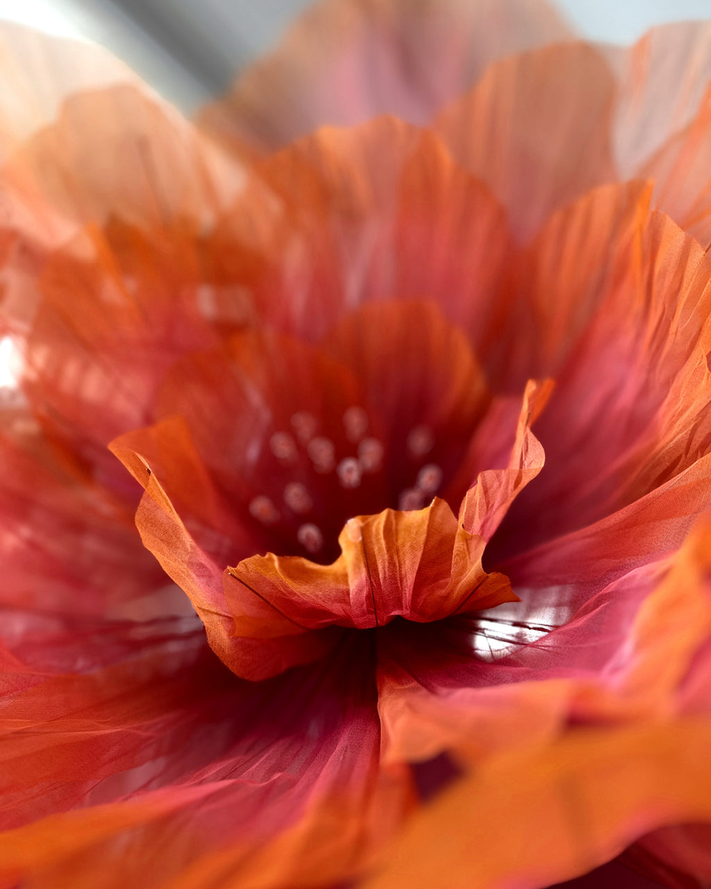 Fleurs géantes en organza orange nervurées, détail du cœur