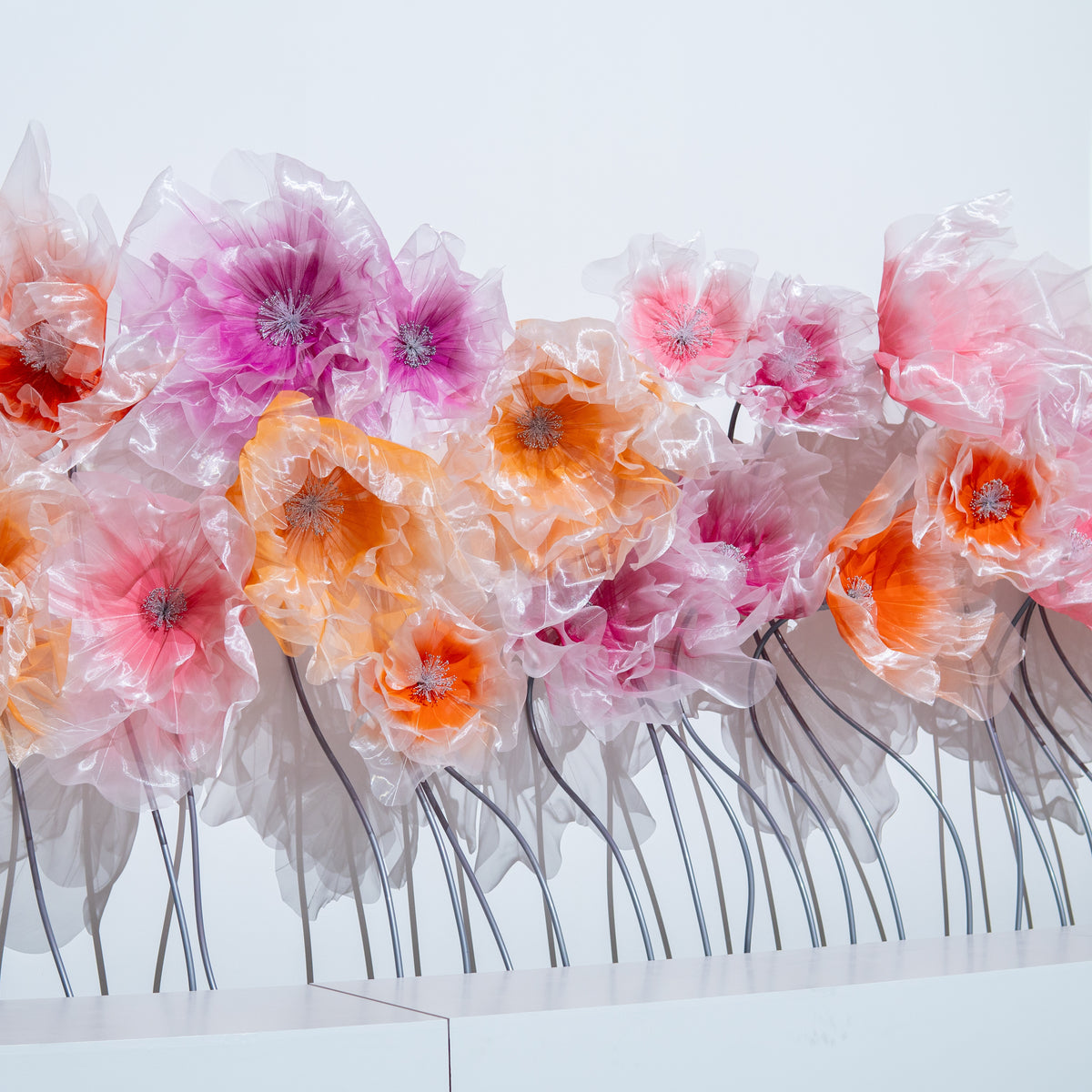 Flores de organza gigantes em degradê, em fileira