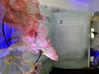 Overview of the reception space decorated with illuminated giant flowers
