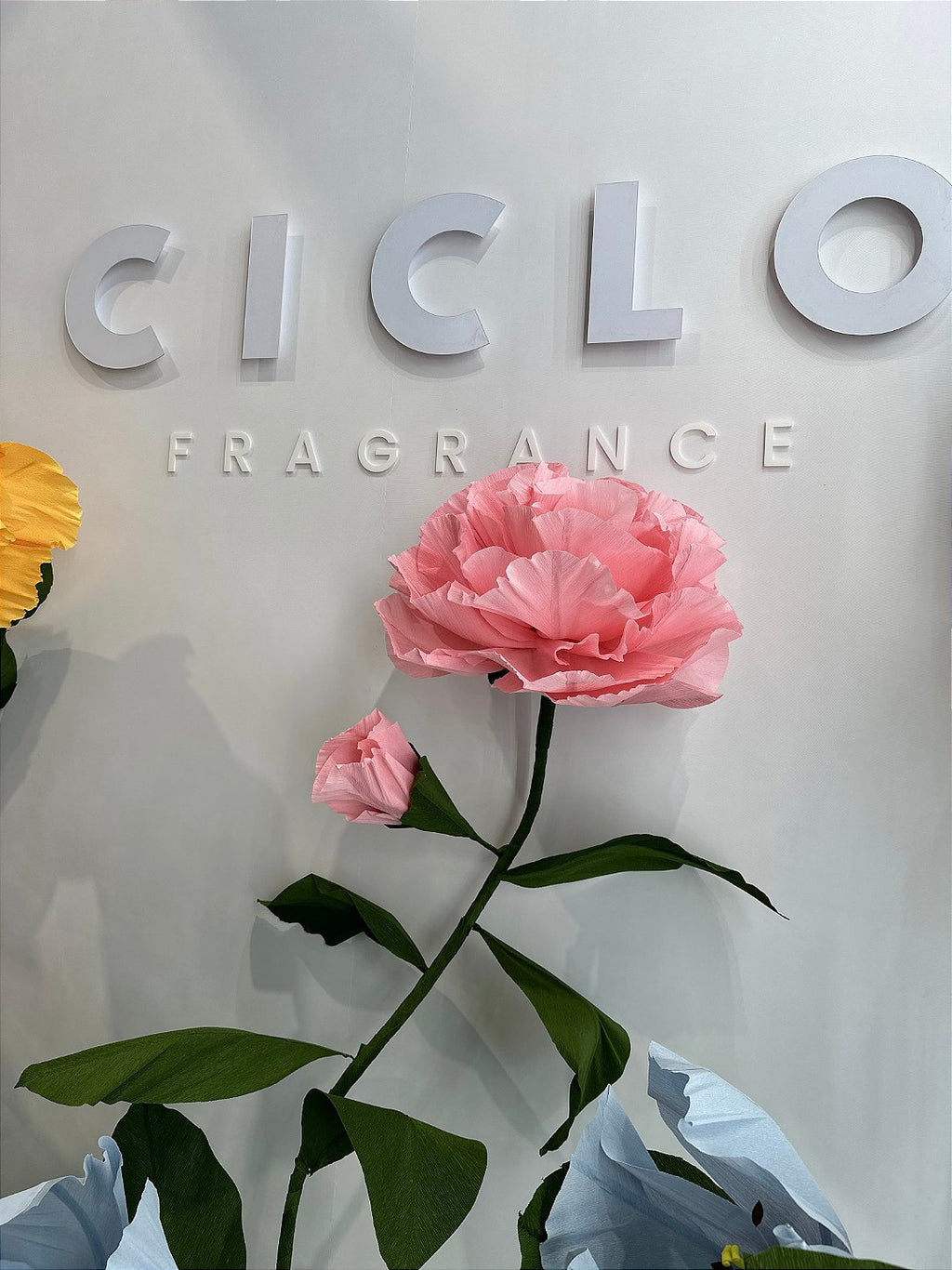 Influenceuse photographiant le décor floral de Ciclo Fragrance
