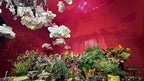Suspended garden interspersed with crystal chandeliers - wedding floral installation