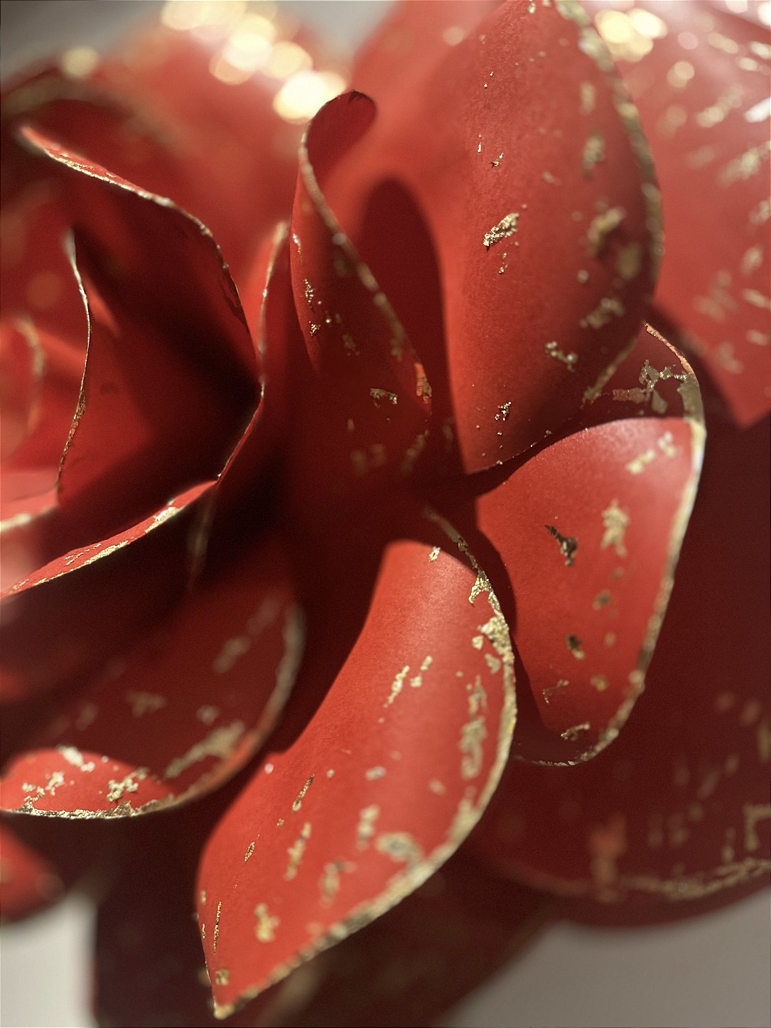 The storefront's directional lighting reflecting off the gold on the petals